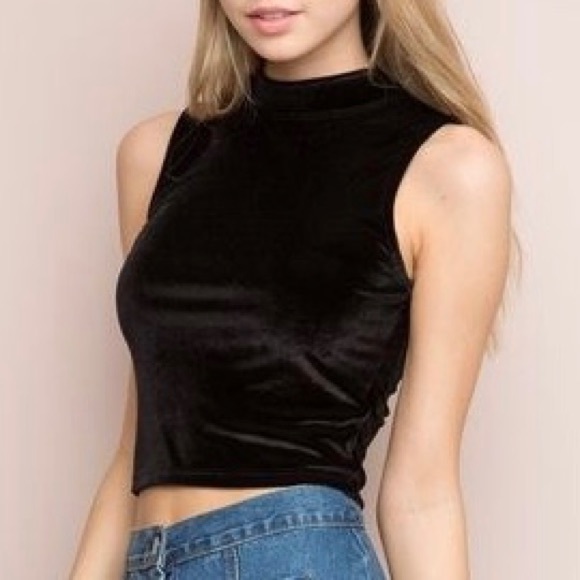 Brandy Melville Tops Brandy Melville Velvet Crop Top Unworn Poshmark